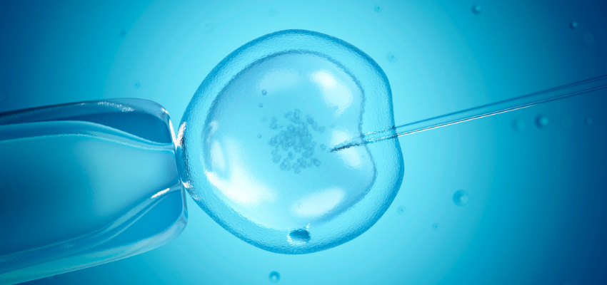 Fertilização In Vitro