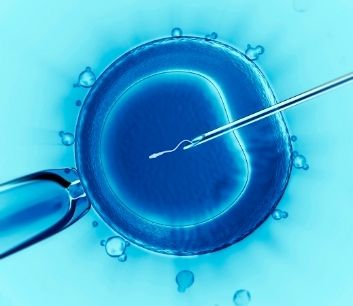 Fertilização in Vitro